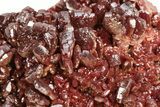 Dark Red Vanadinite Crystal Cluster - Morocco #223688-1